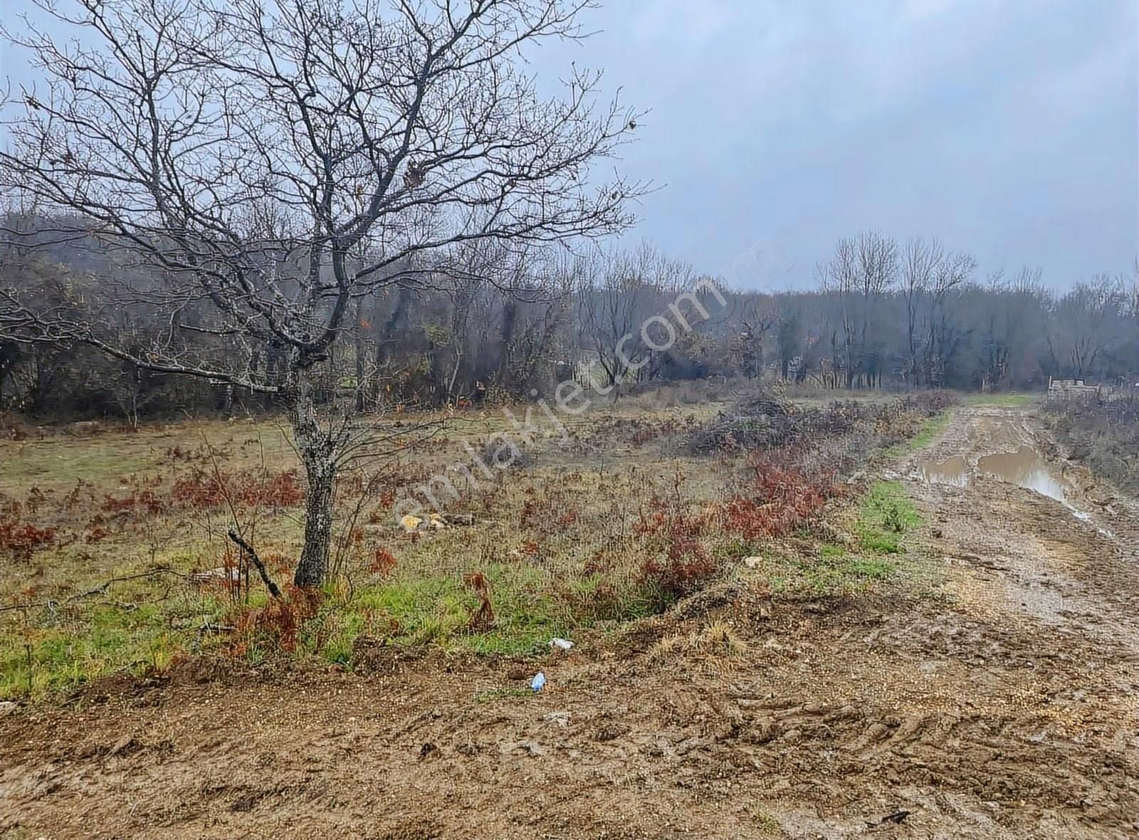 Satılık Gebze Kargalı Köyünde Villa Yapımına Uygun Tarla - Görsel 29