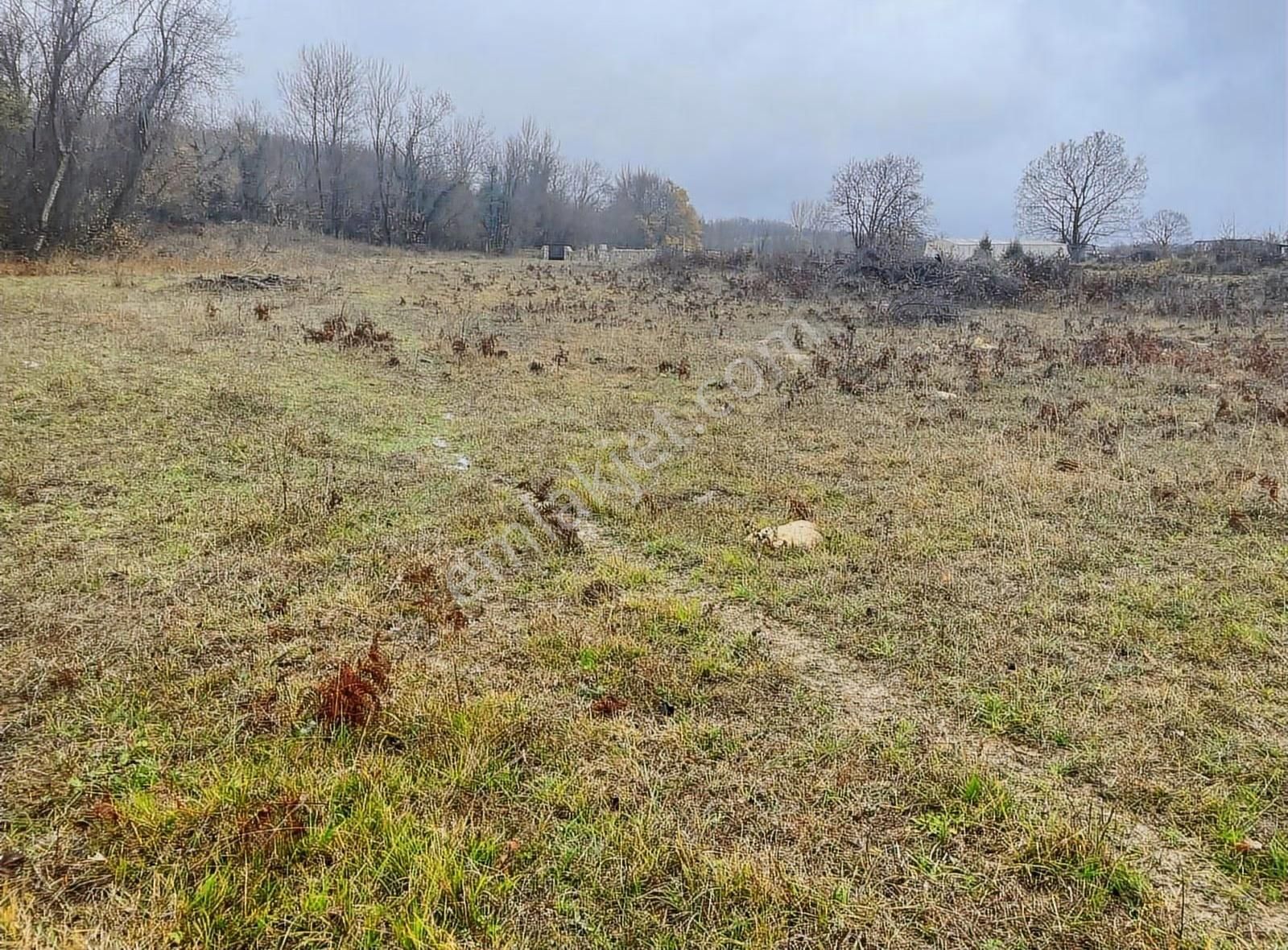 Satılık Gebze Kargalı Köyünde Villa Yapımına Uygun Tarla - Görsel 28