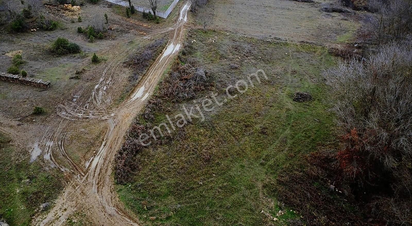 Satılık Gebze Kargalı Köyünde Villa Yapımına Uygun Tarla - Görsel 19