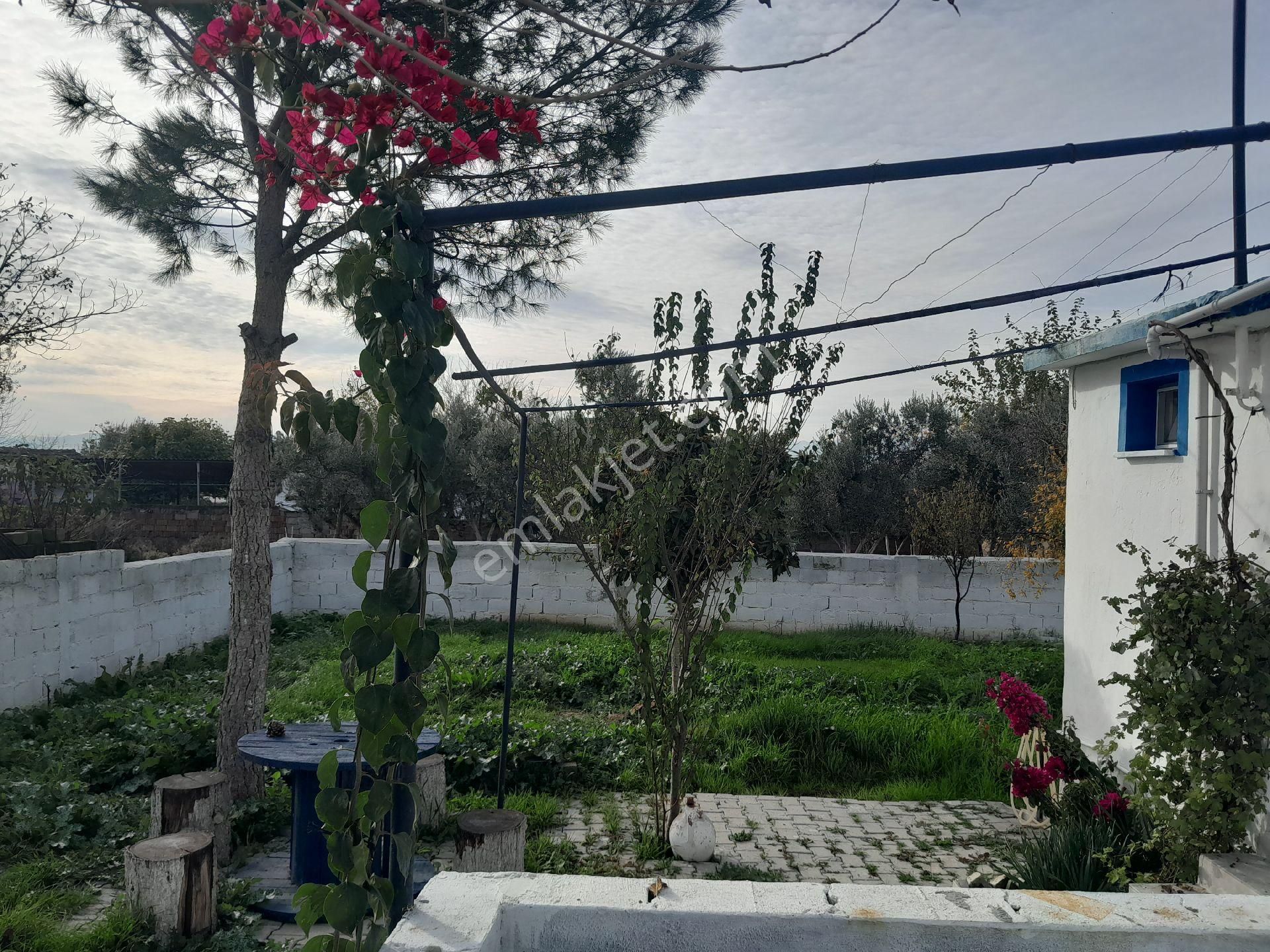 Hayalinizdeki Köy Evi - Görsel 19