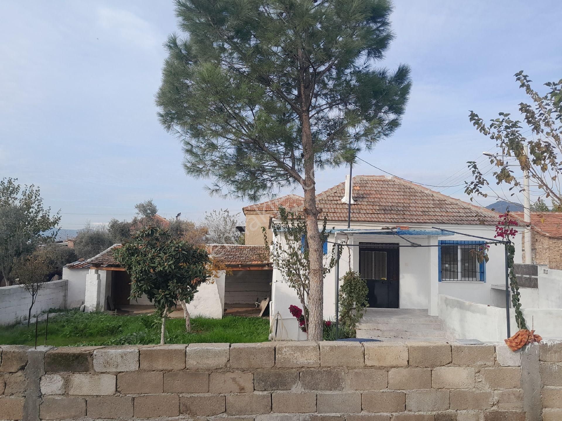 Hayalinizdeki Köy Evi