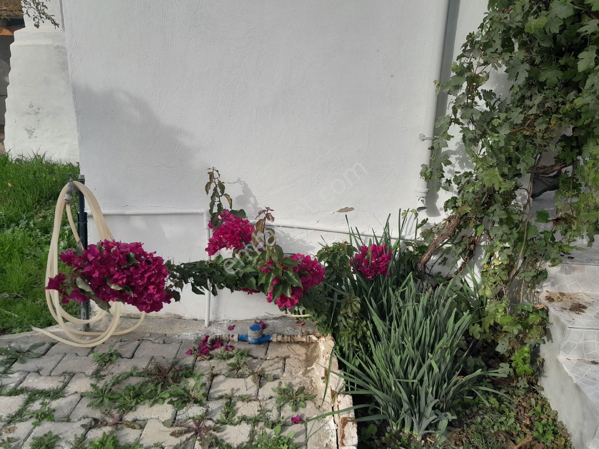 Hayalinizdeki Köy Evi - Görsel 29