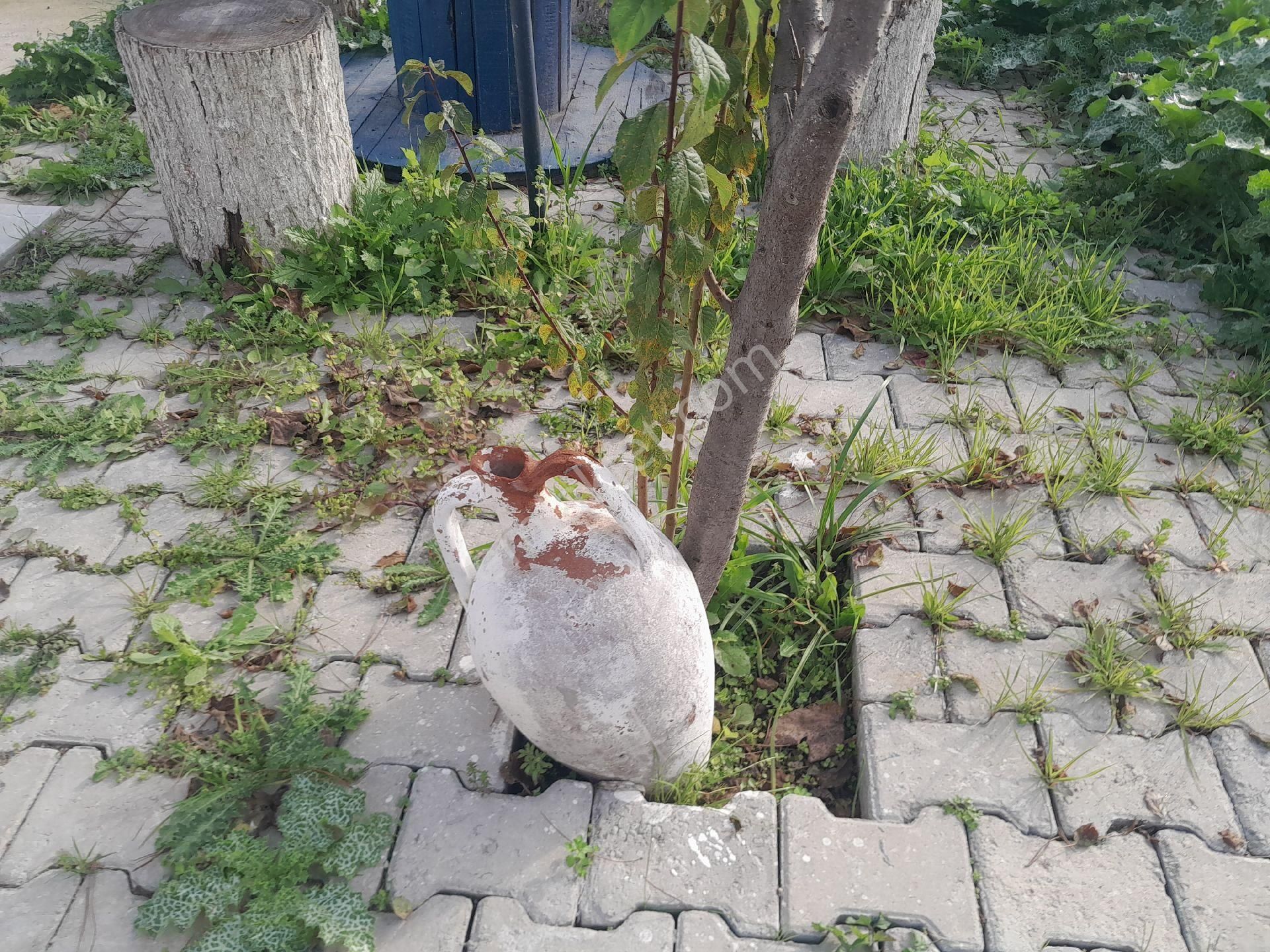 Hayalinizdeki Köy Evi - Görsel 22