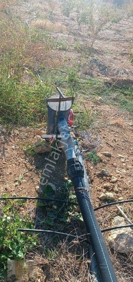 Asya' Dan Mezitli Kuzucu Satılık Manzaralı Bahçe Sulama Sistemli