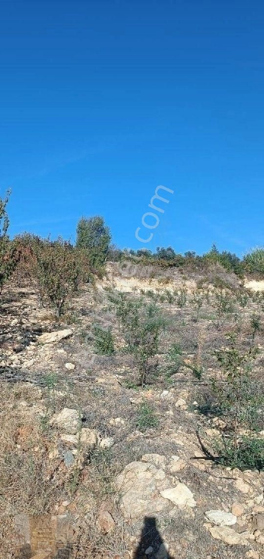 Asya' Dan Mezitli Kuzucu Satılık Manzaralı Bahçe Sulama Sistemli - Görsel 2