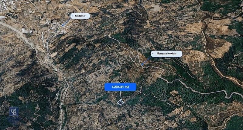 Bayındır Yakapınarda 5.234 M² Satılık Zeytinlik - Görsel 4