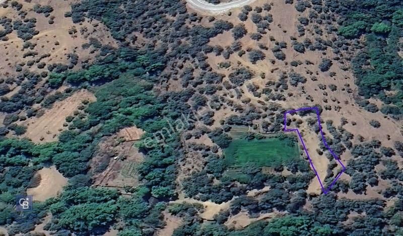 İzmir Bayındırda Satılık Farklı Konumlarda Zeytinlik Arazileri - Görsel 23