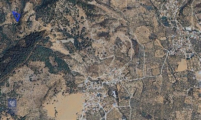 İzmir Bayındırda Satılık Farklı Konumlarda Zeytinlik Arazileri - Görsel 34