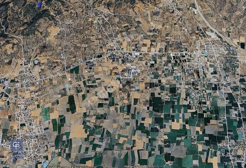 İzmir Bayındırda Satılık Farklı Konumlarda Zeytinlik Arazileri - Görsel 20