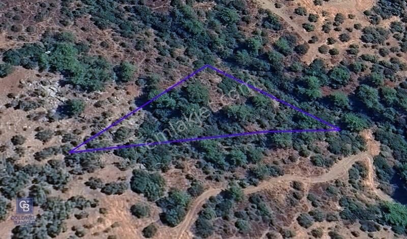 İzmir Bayındırda Satılık Farklı Konumlarda Zeytinlik Arazileri - Görsel 31