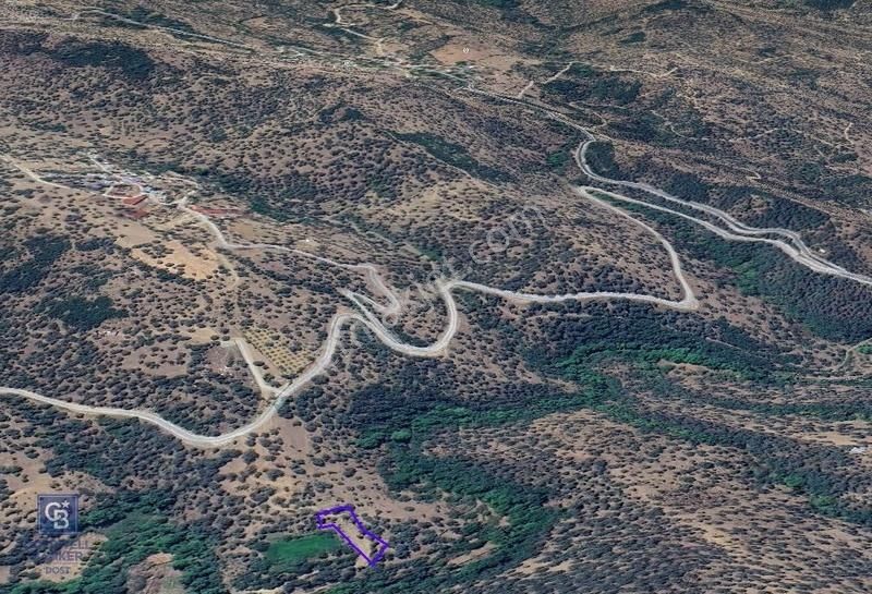 İzmir Bayındırda Satılık Farklı Konumlarda Zeytinlik Arazileri - Görsel 17