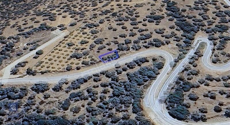 İzmir Bayındırda Satılık Farklı Konumlarda Zeytinlik Arazileri - Görsel 9