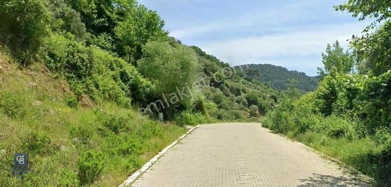 İzmir Bayındırda Satılık Farklı Konumlarda Zeytinlik Arazileri - Görsel 18