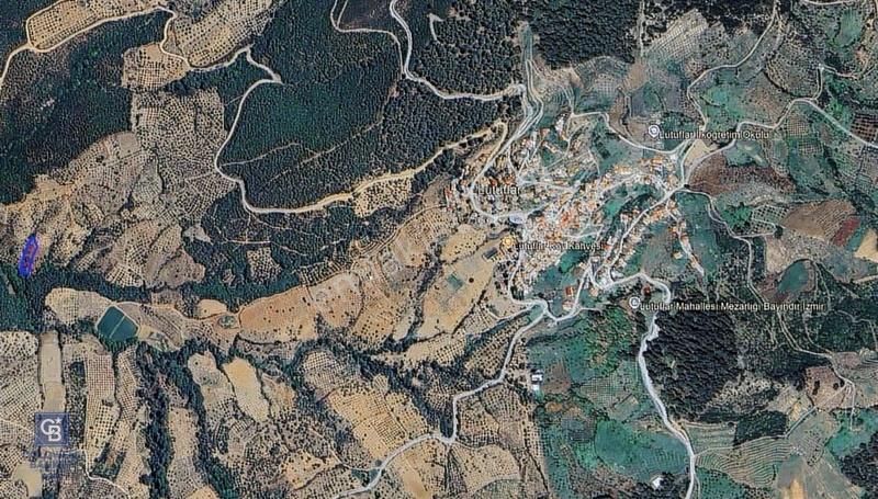 İzmir Bayındırda Satılık Farklı Konumlarda Zeytinlik Arazileri - Görsel 33