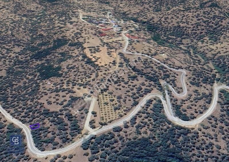 İzmir Bayındırda Satılık Farklı Konumlarda Zeytinlik Arazileri - Görsel 2