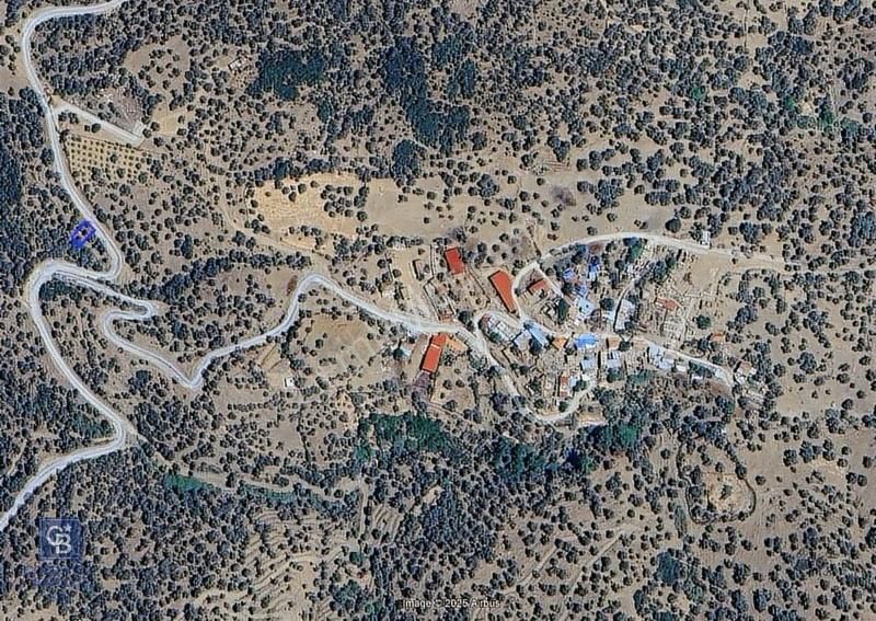 İzmir Bayındırda Satılık Farklı Konumlarda Zeytinlik Arazileri - Görsel 15