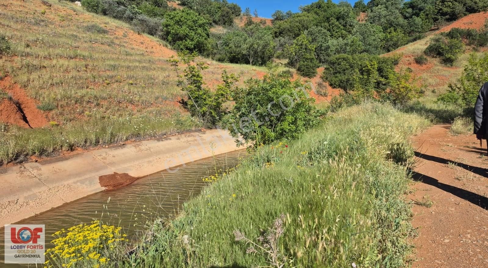 Lobby Fortisten Menderes Nehri Kenarında Satılık Ceviz Bahçesi - Görsel 2