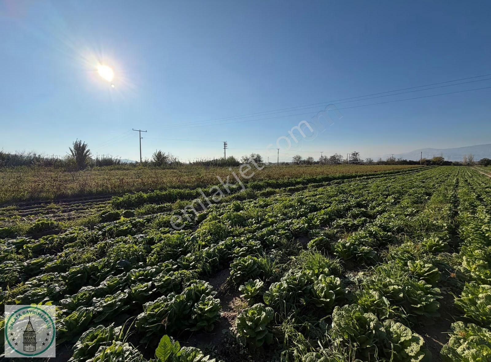 Galata,dan Koçarlı Yağhanlı Mah.de 2.550 M² İmarli Tarla Ve Arsa