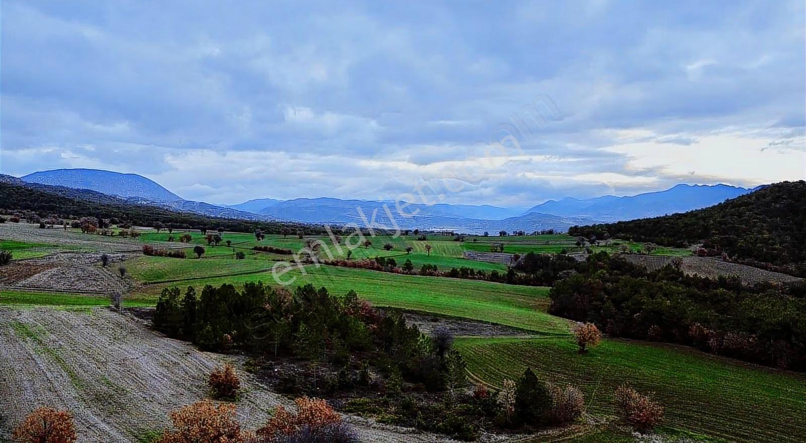 Göynük Karardıç Köyünde 4724 M2 Satılık Arazi - Görsel 7