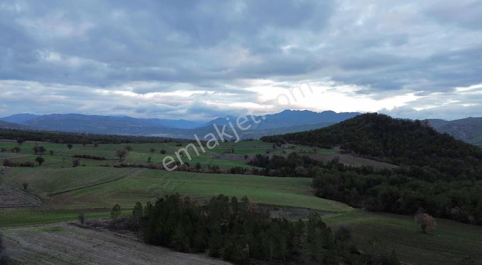 Göynük Karardıç Köyünde 4724 M2 Satılık Arazi - Görsel 8