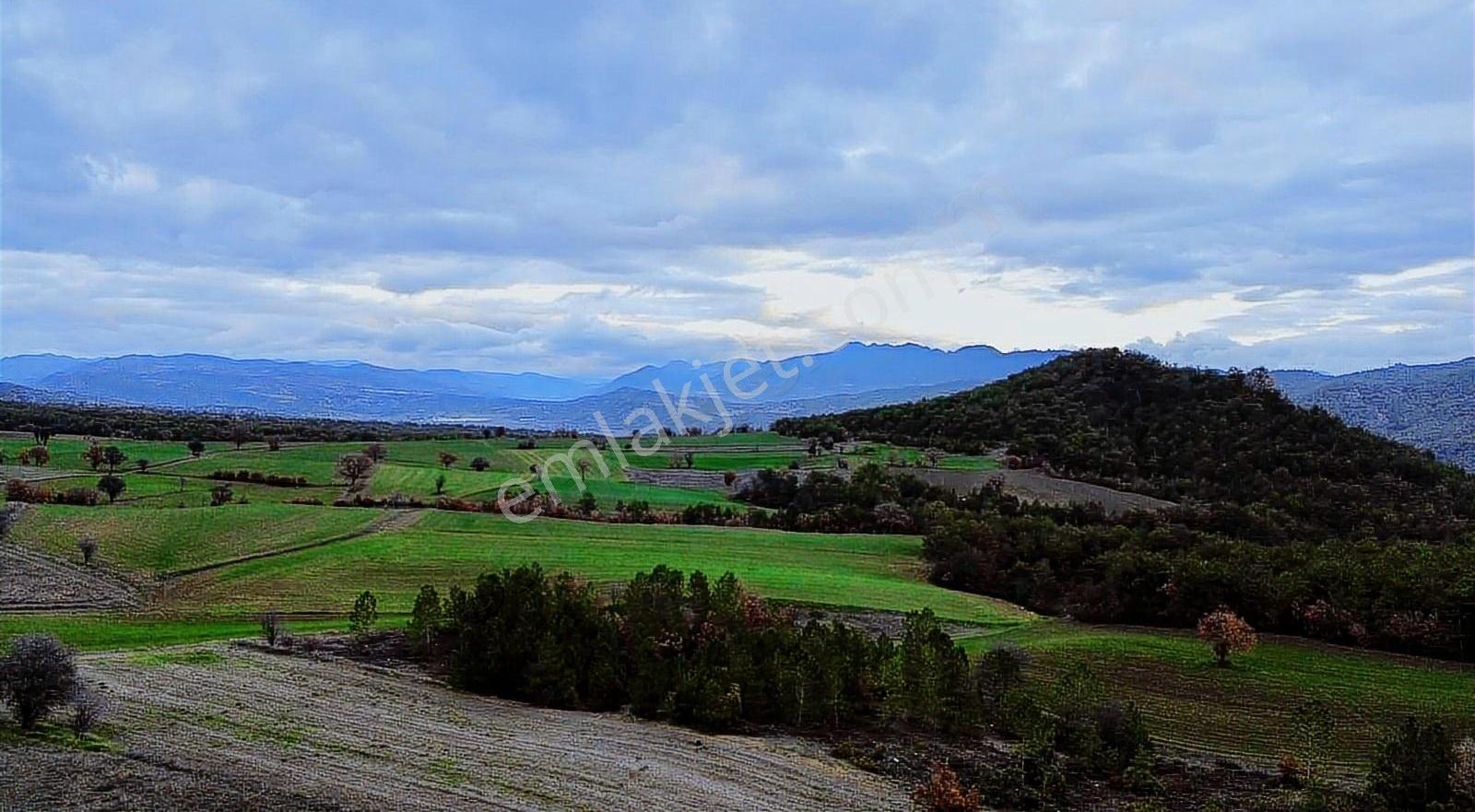 Göynük Karardıç Köyünde 4724 M2 Satılık Arazi - Görsel 5