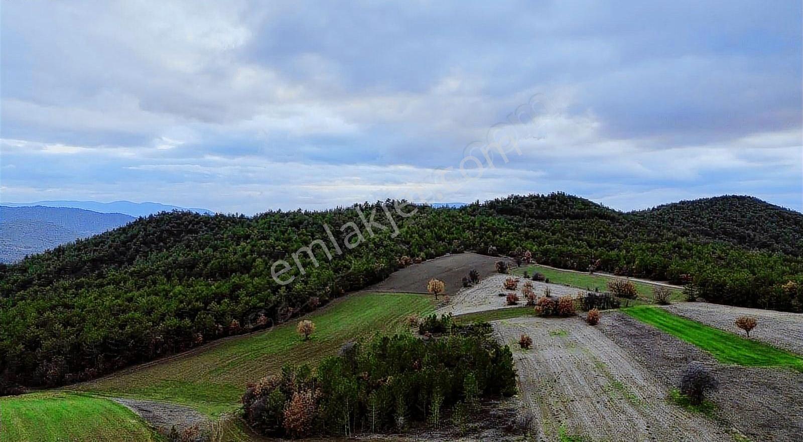 Göynük Karardıç Köyünde 4724 M2 Satılık Arazi - Görsel 9
