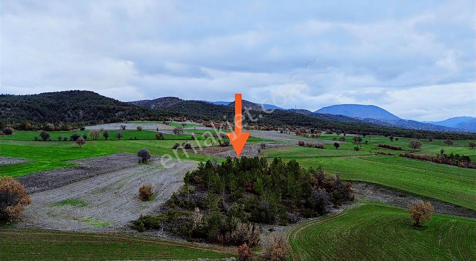 Göynük Karardıç Köyünde 4724 M2 Satılık Arazi