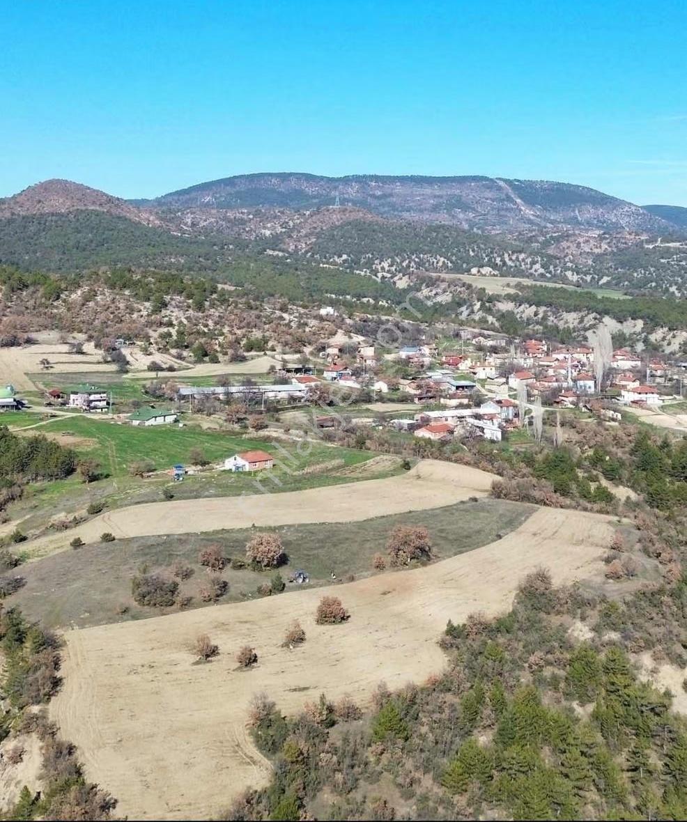 Göynük Karaardıç Köyünde 5104 M2 Satılık Arazi - Görsel 2