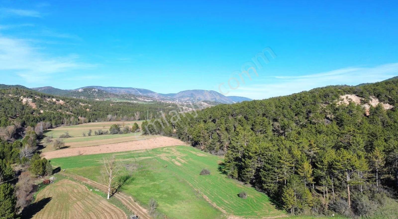 Göynük Karaardıç Köyünde 7135 M2 Satılık Arazi - Görsel 12