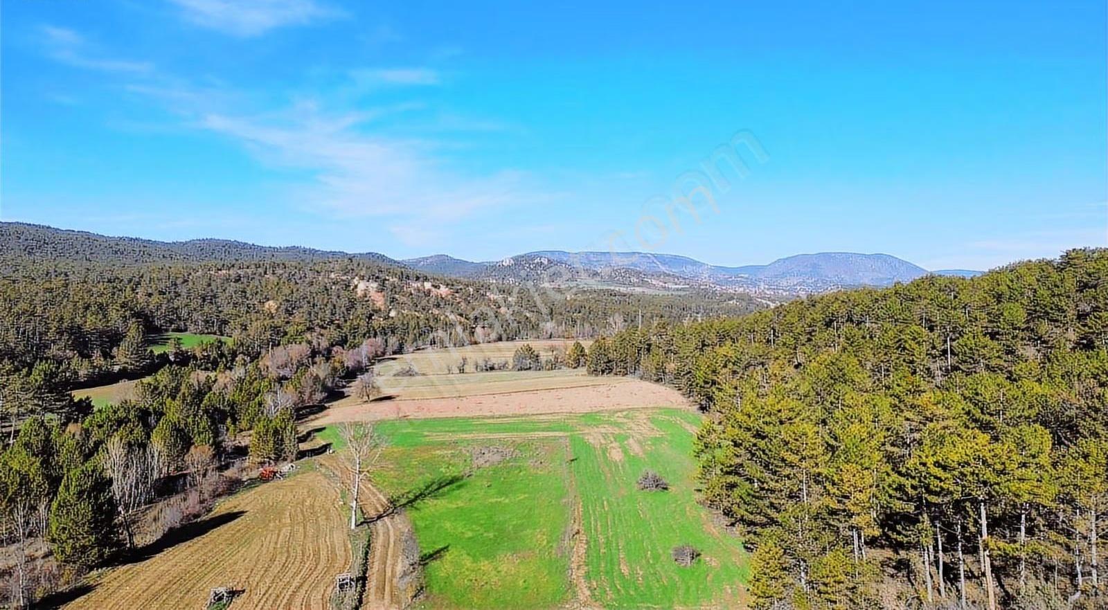 Göynük Karaardıç Köyünde 7135 M2 Satılık Arazi - Görsel 23