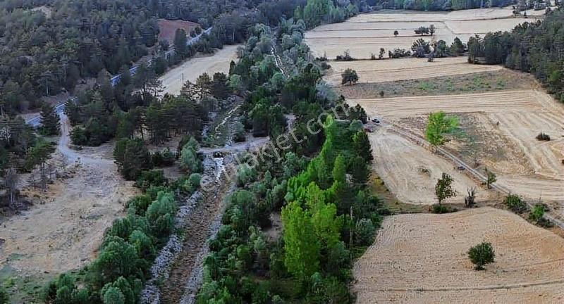 Göynük Karaardıç Köyünde 7135 M2 Satılık Arazi - Görsel 4
