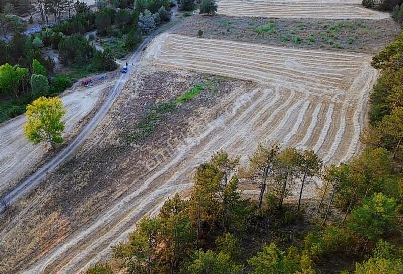 Göynük Karaardıç Köyünde 7135 M2 Satılık Arazi - Görsel 11