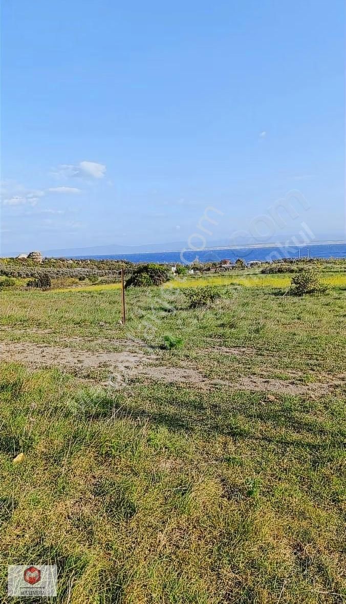 Çanakkale Biga Zeytinlikte Satılık Arsa