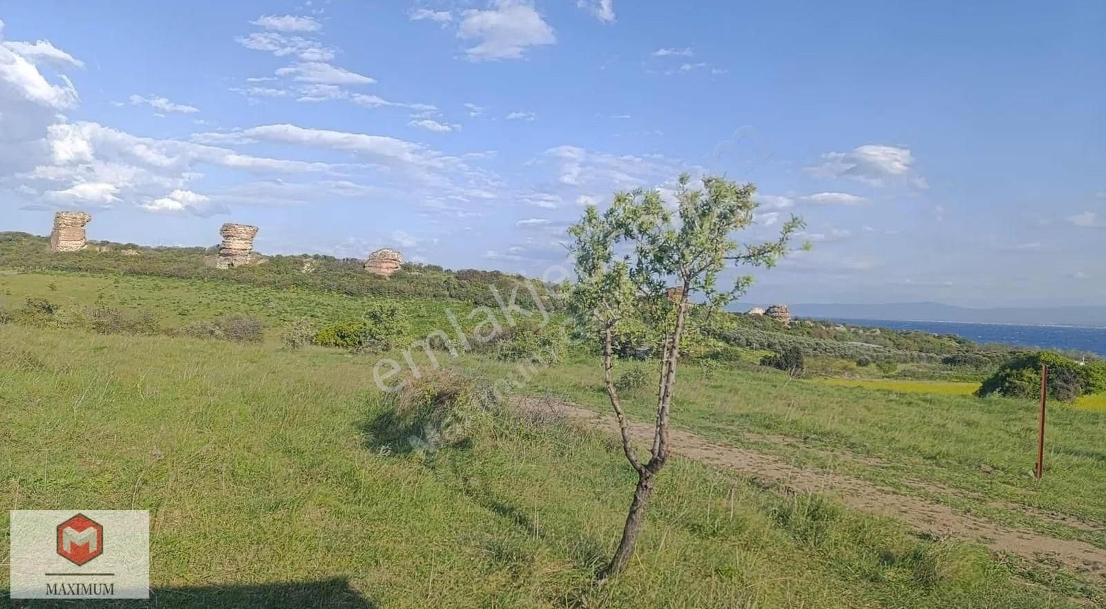 Çanakkale Biga Zeytinlikte Satılık Arsa - Görsel 14