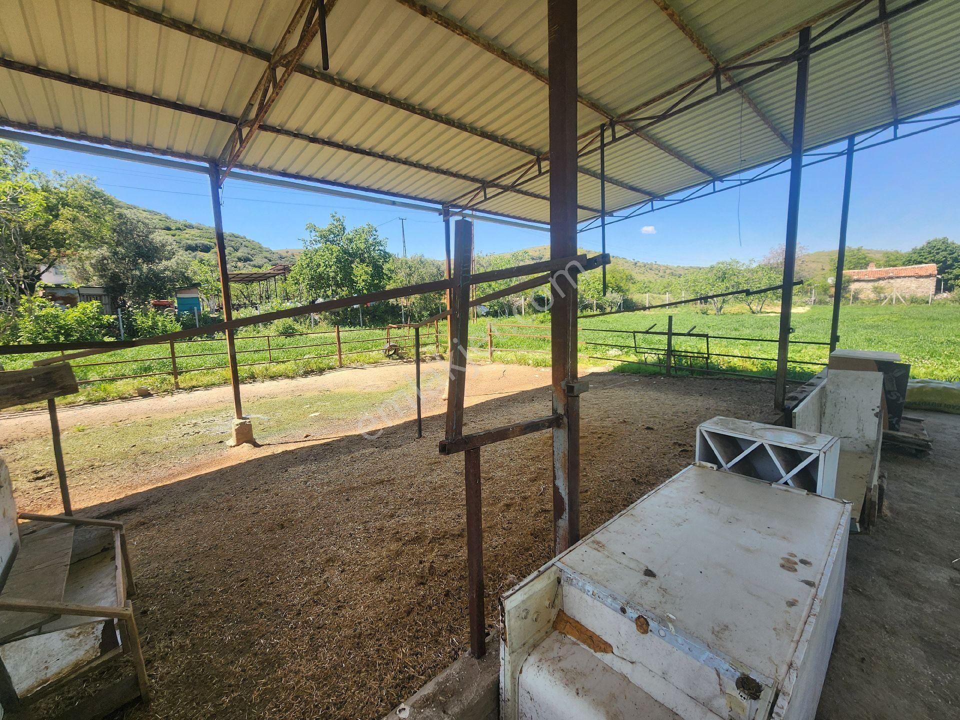 Kiralık Çiftlik Tire İzmir - Görsel 4