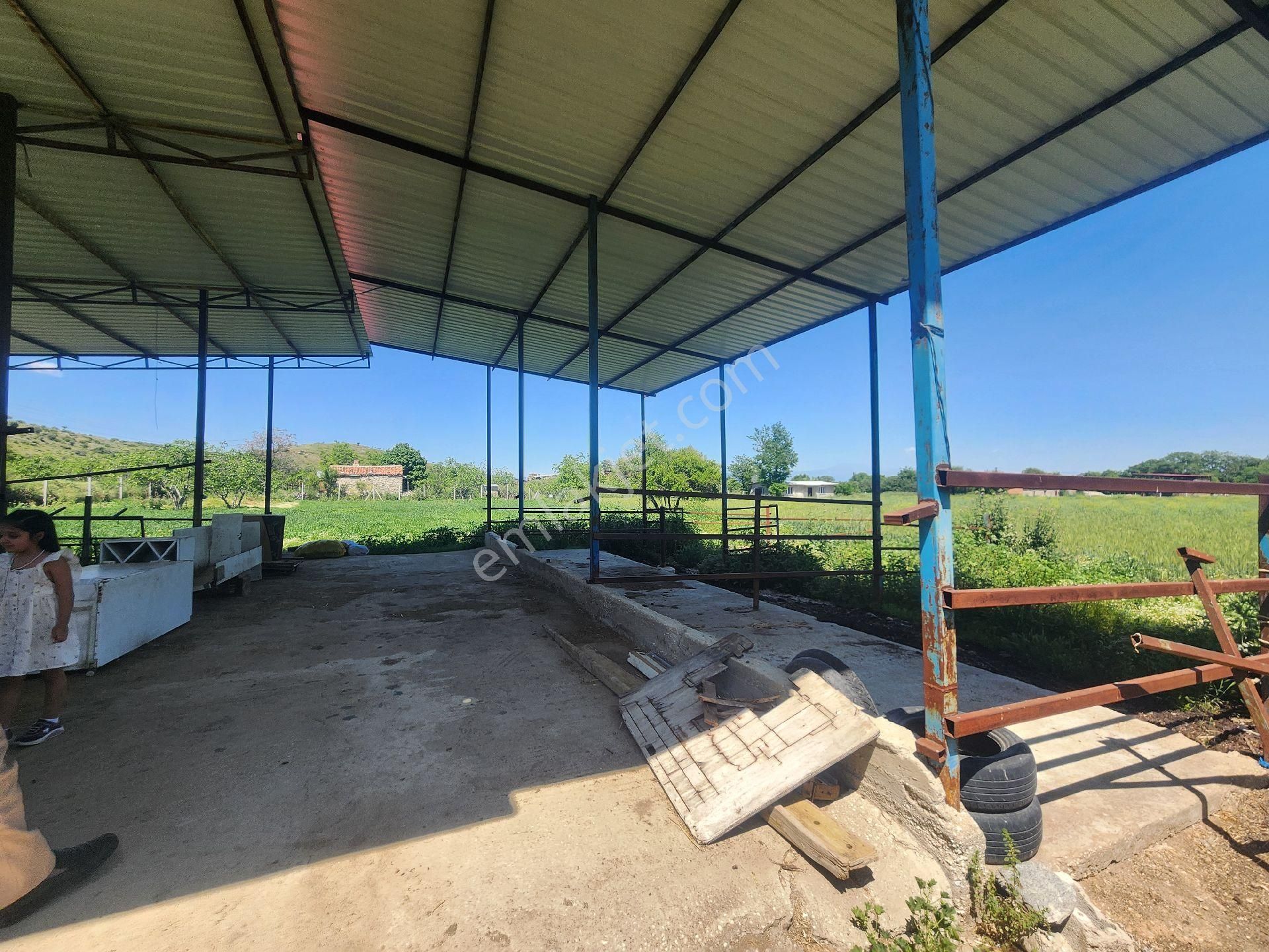 Kiralık Çiftlik Tire İzmir