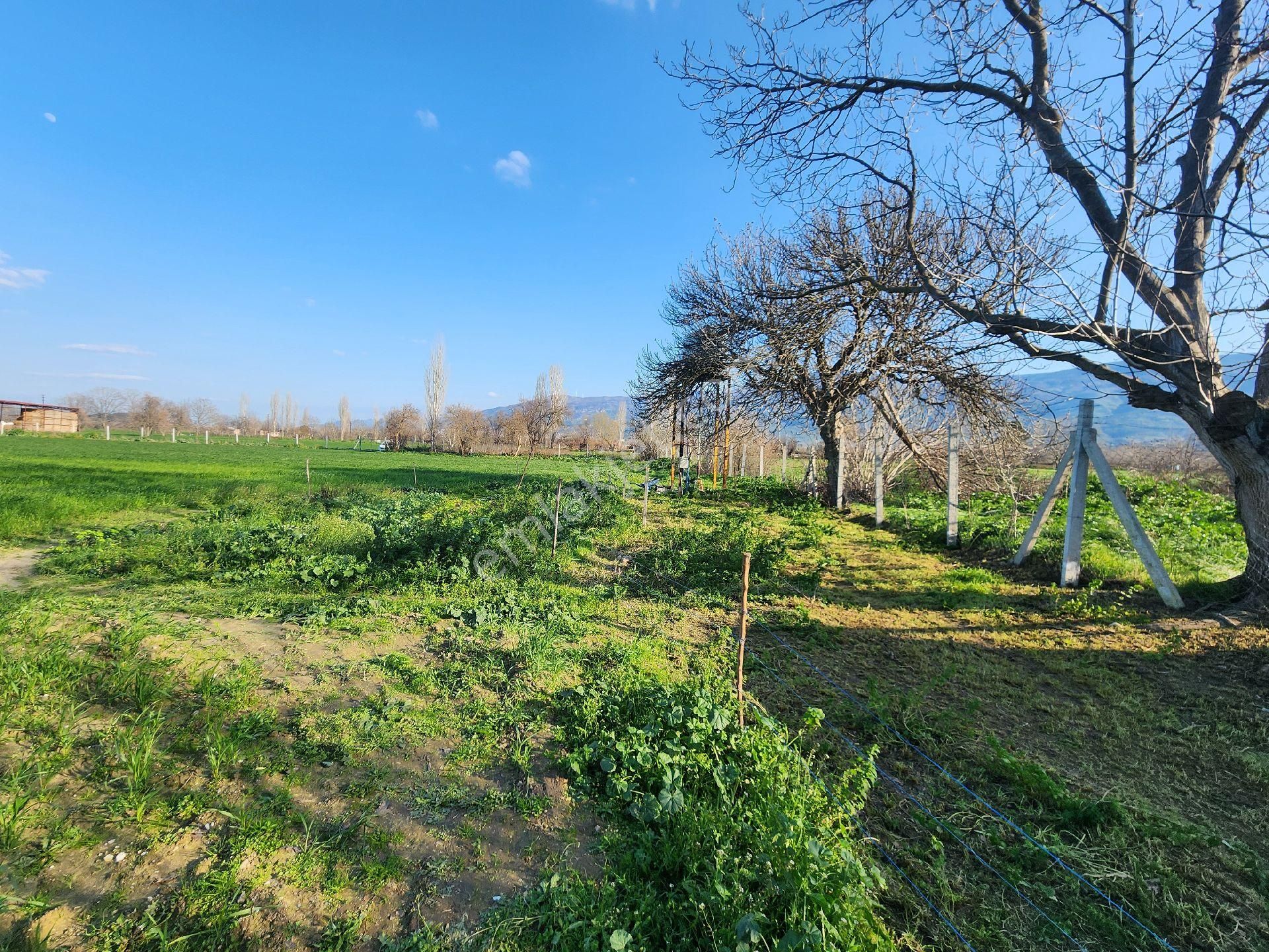 Kiralık Çiftlik Tire İzmir - Görsel 9