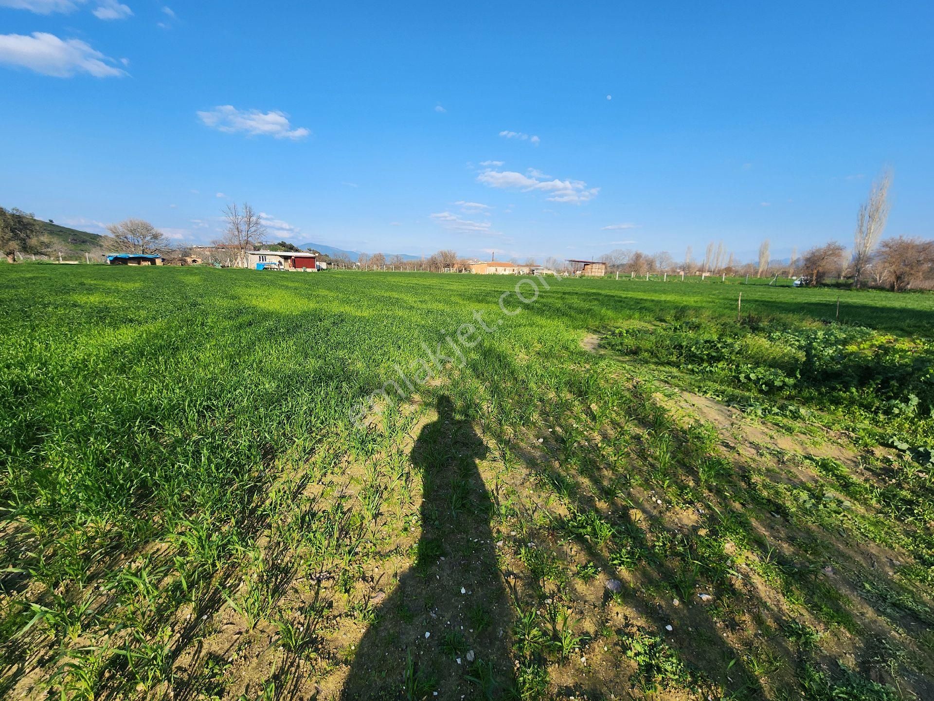 Kiralık Çiftlik Tire İzmir - Görsel 8