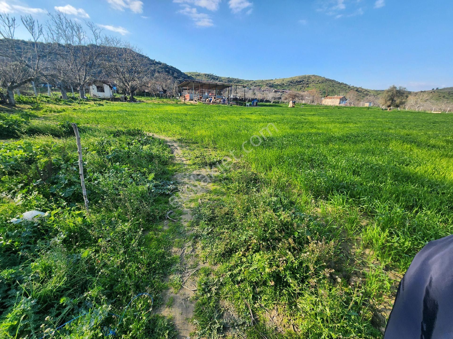 Kiralık Çiftlik Tire İzmir - Görsel 7