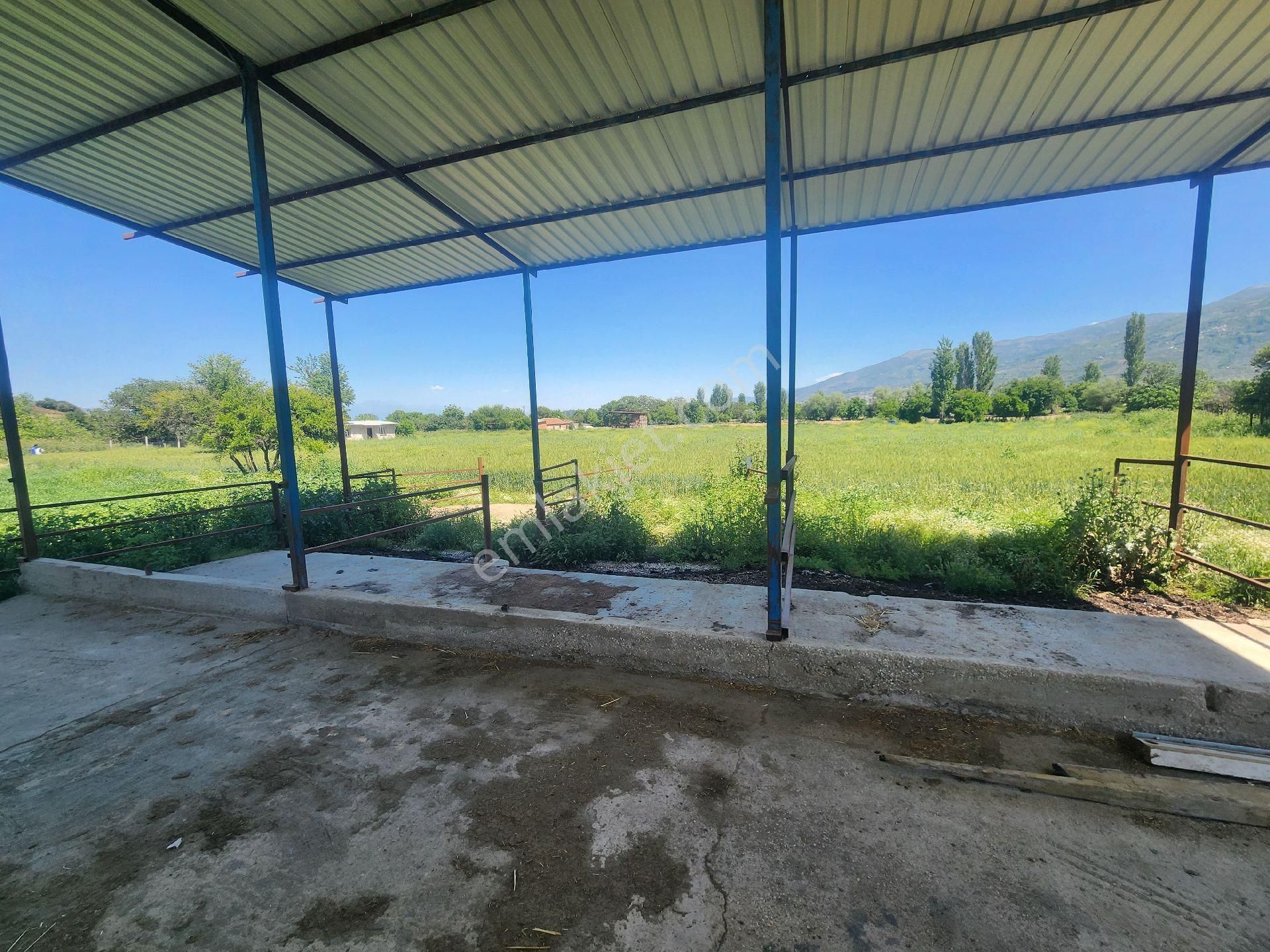 Kiralık Çiftlik Tire İzmir - Görsel 3