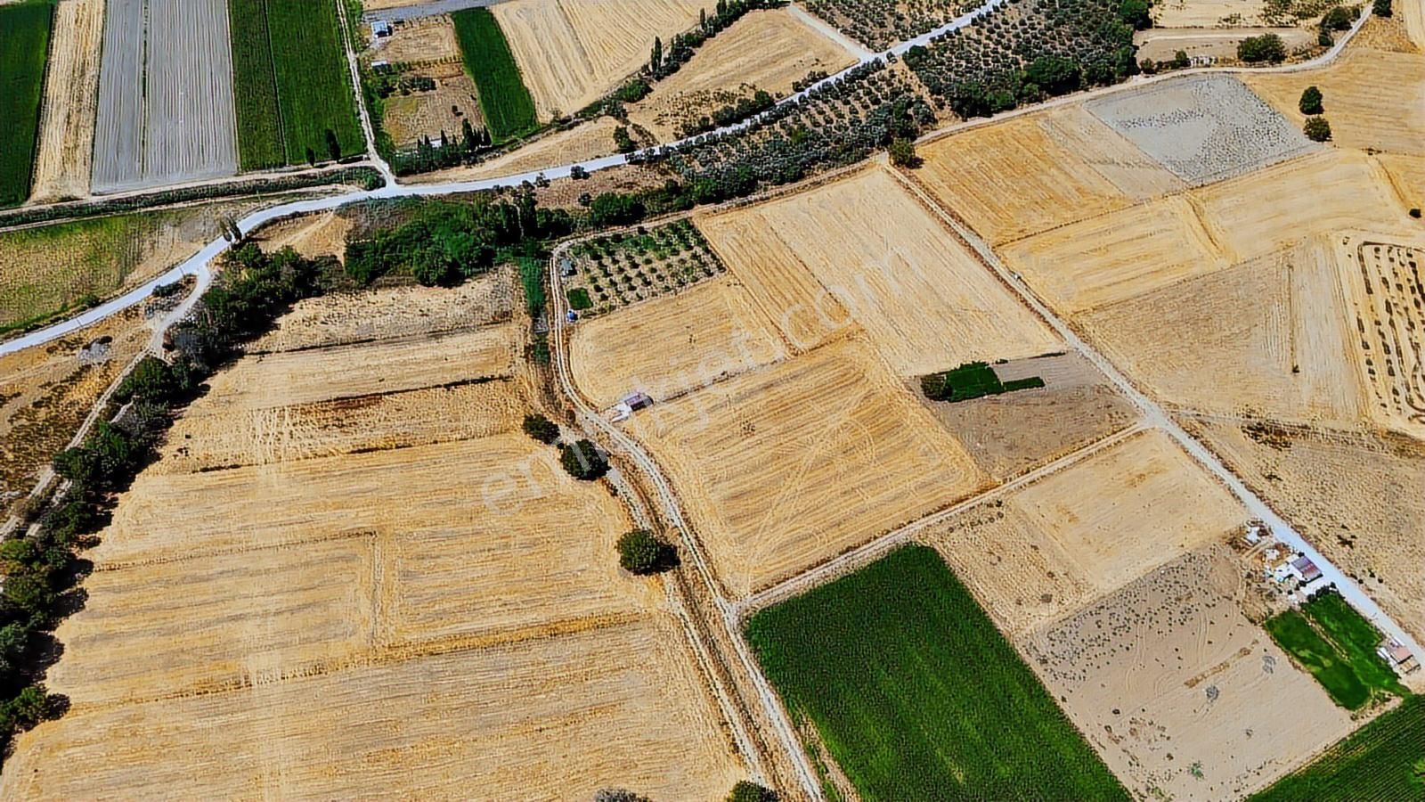 Cb Marina'dan Yatağan Ovasında Satılık 3.900 M2 Satılık "tarla" - Görsel 22