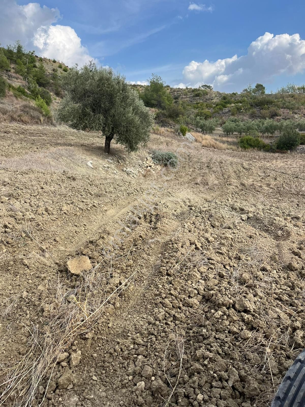 Sahibinden Karaisalı Merkezde Su Kuyusu Ve Yolu Olan Cazip Tarla ~12 Dönüm - Görsel 10