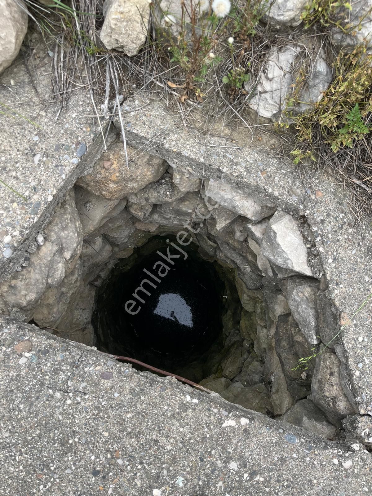 Sahibinden Karaisalı Merkezde Su Kuyusu Ve Yolu Olan Cazip Tarla ~12 Dönüm - Görsel 8