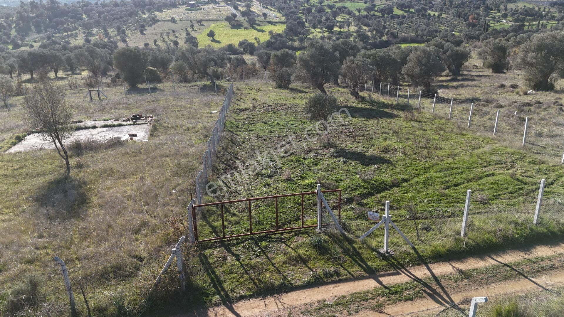 İzmir Menderes Görece-akçaköy Arasında 1727 M2 Taksimli Tepe Tarla - Görsel 34