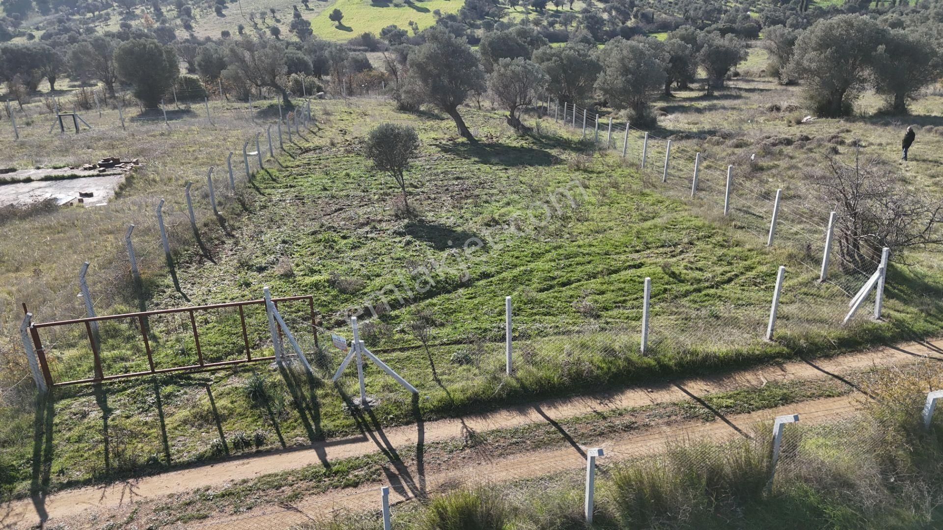 İzmir Menderes Görece-akçaköy Arasında 1727 M2 Taksimli Tepe Tarla - Görsel 32