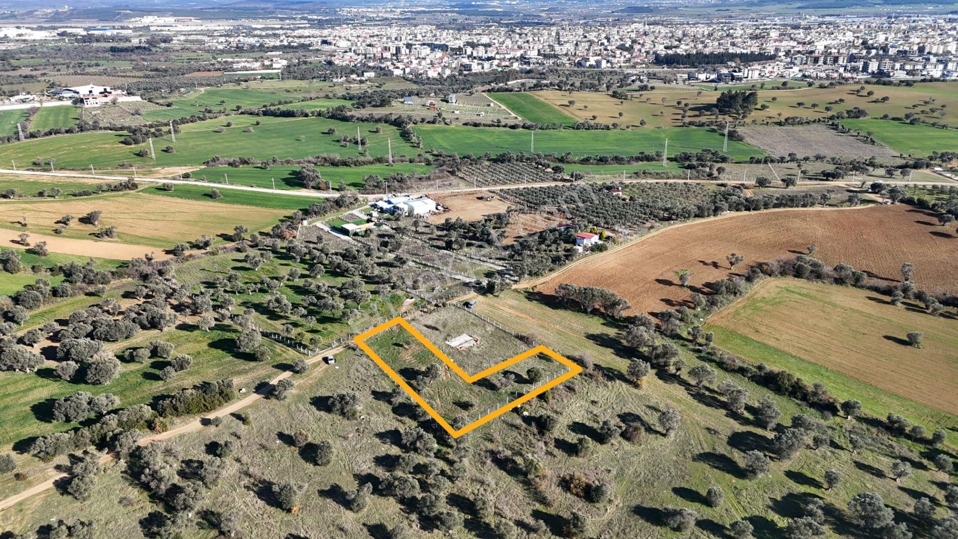 İzmir Menderes Görece-akçaköy Arasında 1727 M2 Taksimli Tepe Tarla - Görsel 5