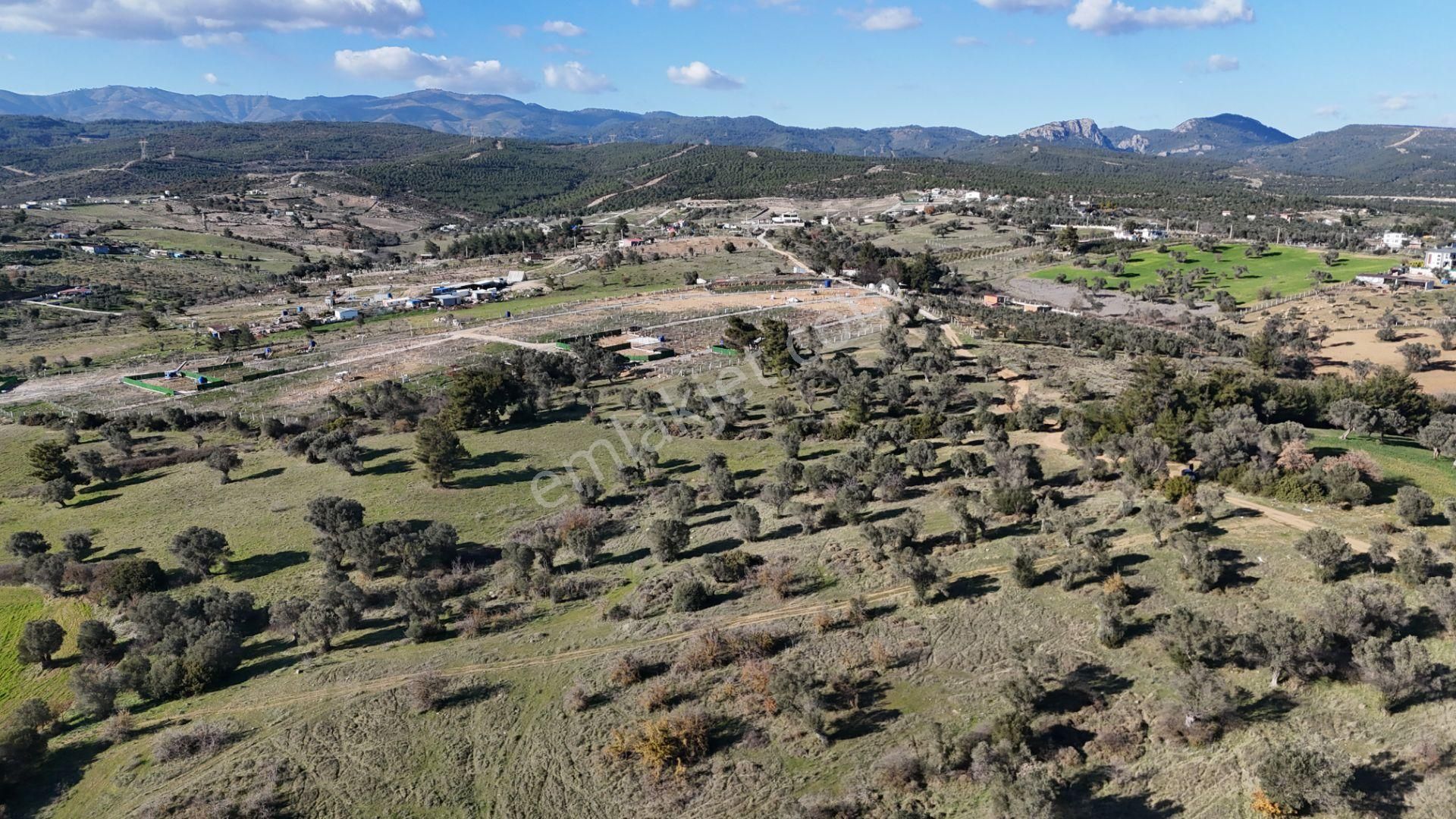 İzmir Menderes Görece-akçaköy Arasında 1727 M2 Taksimli Tepe Tarla - Görsel 12