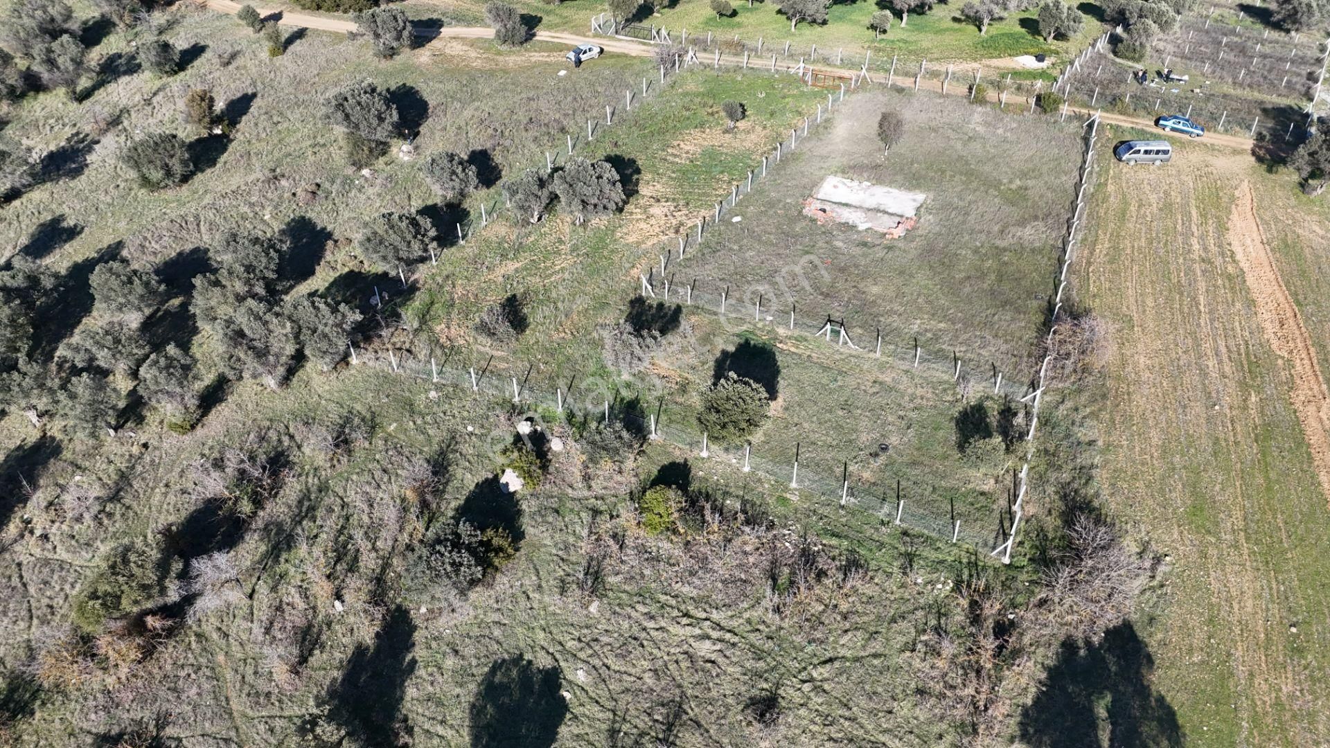 İzmir Menderes Görece-akçaköy Arasında 1727 M2 Taksimli Tepe Tarla - Görsel 19