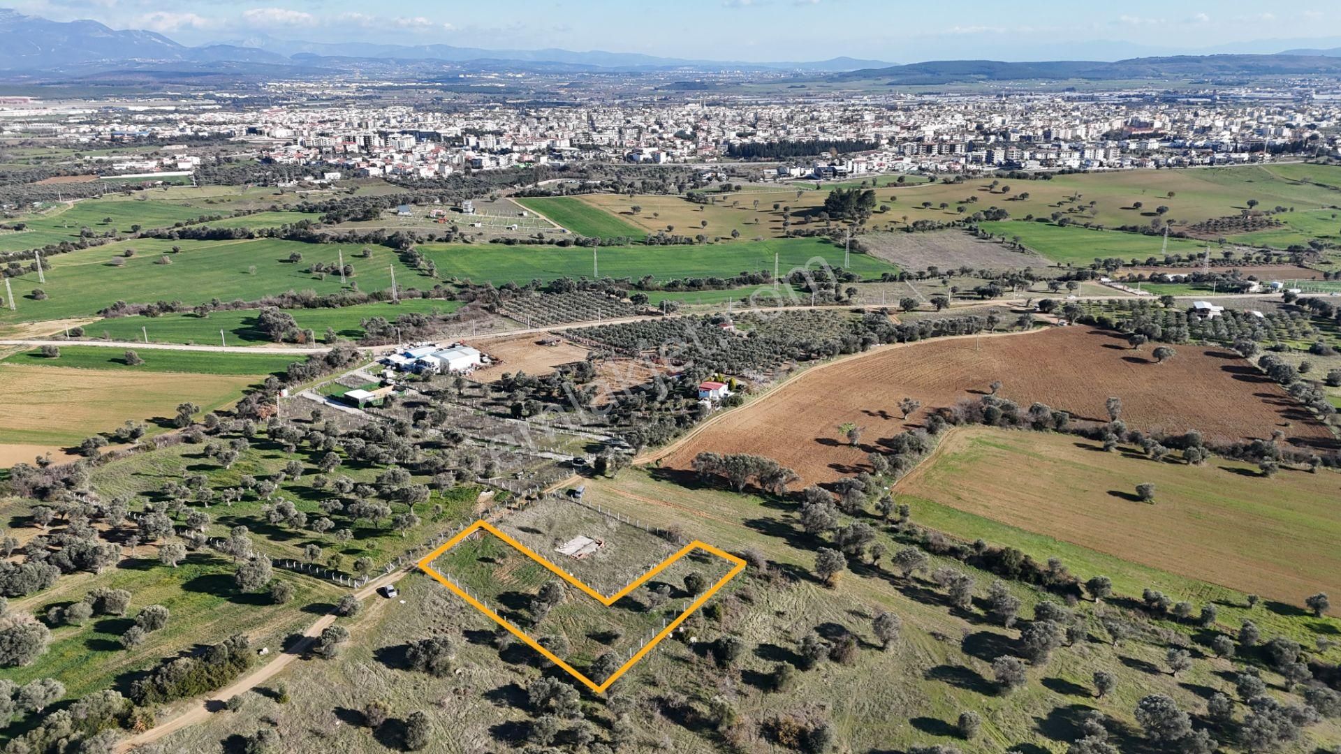 İzmir Menderes Görece-akçaköy Arasında 1727 M2 Taksimli Tepe Tarla - Görsel 10