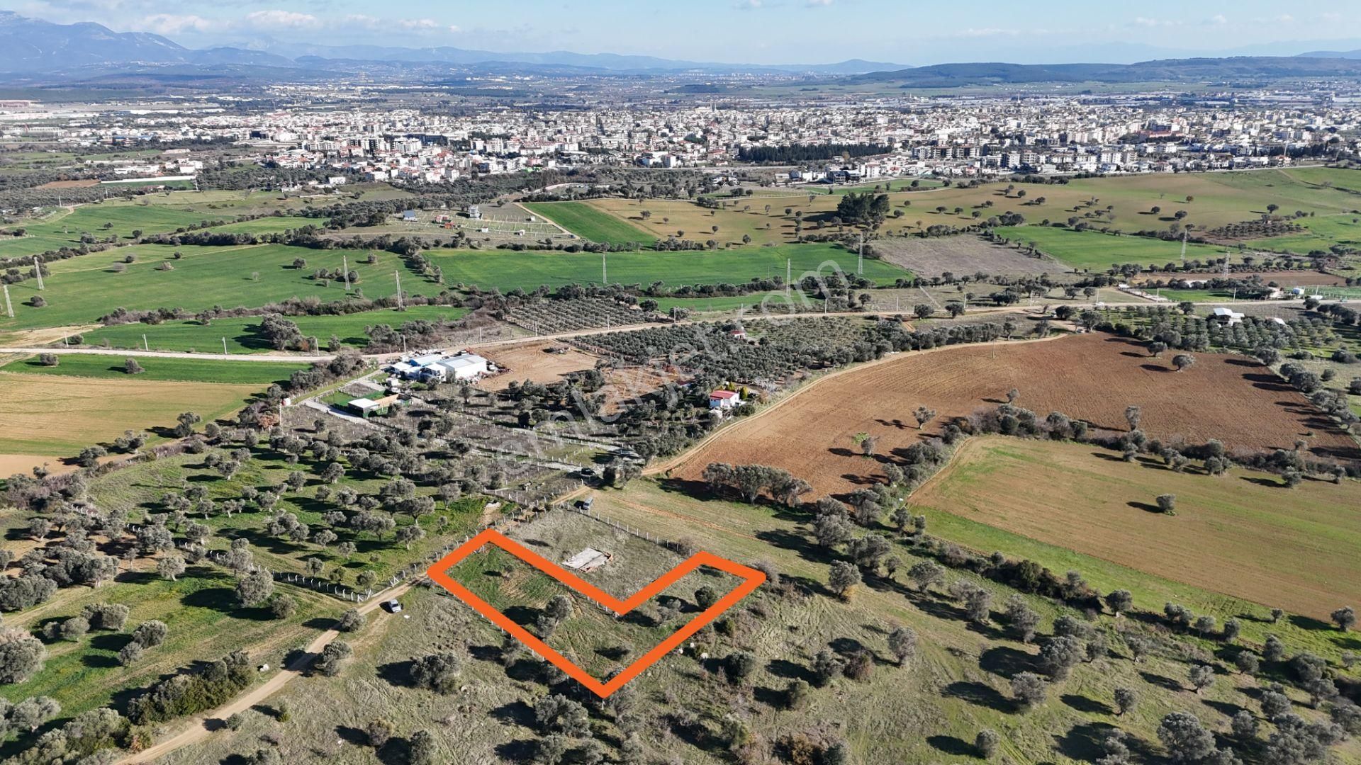 İzmir Menderes Görece-akçaköy Arasında 1727 M2 Taksimli Tepe Tarla - Görsel 3